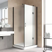 Душевой уголок Vegas-Glass AFP-Fis LUX 120x100 черный матовый