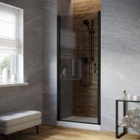 Дверь в душевую нишу Vegas-Glass EP LUX 90 черный матовый