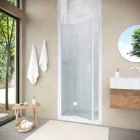 Душевая дверь в нишу Vegas-Glass GPS NOVO 90 h189 белый