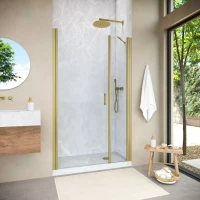 Душевая дверь Vegas-Glass EP-F-2 NOVO 120 h200 золото матовое