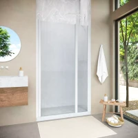 Душевая дверь Vegas-Glass EP-F-1 NOVO 120 h200 белый