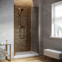 Душевая дверь в нишу Vegas-Glass EP-F-2 LUX 105 бронза