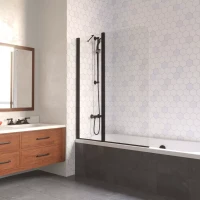 Шторки на ванну E2V LUX ST 115 черный матовый