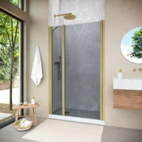 Душевая дверь Vegas-Glass EP-F-1 NOVO 120 h200 золото матовое