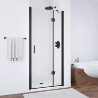 Душевая дверь Vegas-Glass AFP NOVO 100 черный матовый