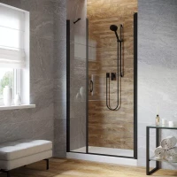 Душевая дверь в нишу Vegas-Glass EP-F-2 LUX 105 черный матовый