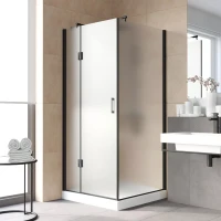 Душевой уголок Vegas-Glass AFP-Fis LUX 120x120 черный матовый