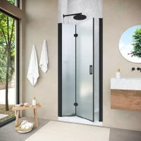 Душевая дверь в нишу Vegas-Glass GPS NOVO 90 h200 черный матовый