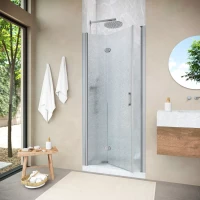 Душевая дверь в нишу Vegas-Glass GPS NOVO 95 h189 матовый хром