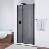 Душевая дверь Vegas-Glass AFP NOVO 110 черный матовый