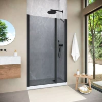 Душевая дверь Vegas-Glass EP-F-2 NOVO 125 h200 черный матовый