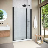 Душевая дверь Vegas-Glass EP-F-2 NOVO 125 h200 черный матовый