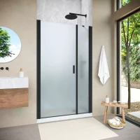Душевая дверь Vegas-Glass EP-F-2 NOVO 125 h200 черный матовый