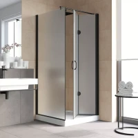 Душевой уголок Vegas-Glass GPS-Fis LUX 80x120 черный матовый