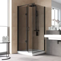 Душевой уголок Vegas-Glass GPS-Fis LUX 80x120 черный матовый