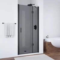 Душевая дверь Vegas-Glass AFP NOVO 120 черный матовый