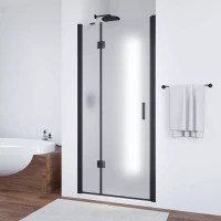 Душевая дверь Vegas-Glass AFP NOVO 120 черный матовый