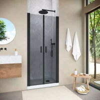 Душевая дверь в нишу Vegas-Glass E2P NOVO 90 h200 черный матовый