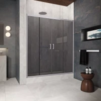 Двери в душевой проем Z2P Protec 190 матовый хром
