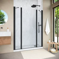 Душевая дверь Vegas-Glass EP-2F NOVO 185 h200 черный матовый