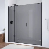 Дверь в душевой проем Vegas-Glass AFP-F NOVO 220 черный матовый