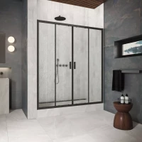 Двери в душевой проем Z2P Protec 195 черный матовый