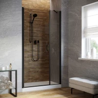 Душевая дверь в нишу Vegas-Glass EP-F-2 LUX 135 черный матовый