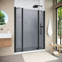 Душевая дверь Vegas-Glass EP-2F NOVO 190 h200 черный матовый