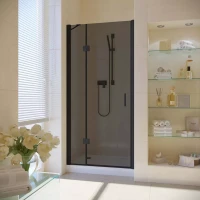 Душевая дверь в нишу Vegas-Glass AFP LUX 100 черный матовый