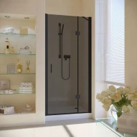 Душевая дверь в нишу Vegas-Glass AFP LUX 100 черный матовый