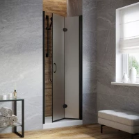 Дверь в душевую нишу Vegas-Glass GPS LUX 75 черный матовый