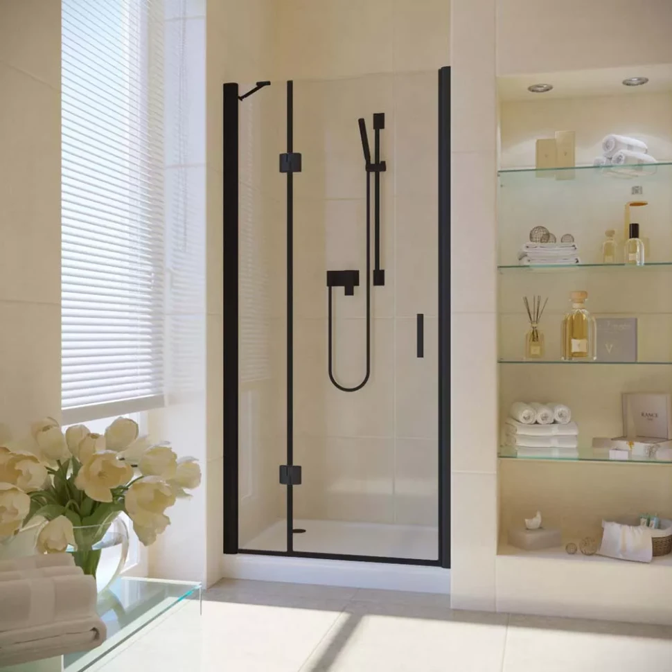 Душевая дверь в нишу Vegas-Glass AFP LUX 110 черный матовый