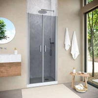 Душевая дверь в нишу Vegas-Glass E2P NOVO 100 h189 матовый хром