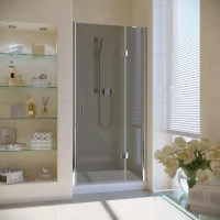 Душевая дверь в нишу Vegas-Glass AFP LUX 120 глянцевый хром