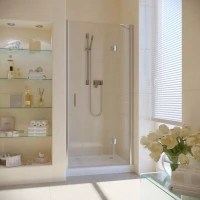 Душевая дверь в нишу Vegas-Glass AFP LUX 120 глянцевый хром