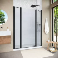 Душевая дверь Vegas-Glass EP-2F NOVO 195 h200 черный матовый