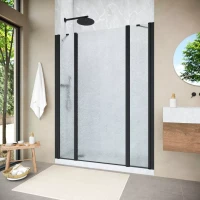 Душевая дверь Vegas-Glass EP-2F NOVO 195 h200 черный матовый