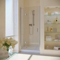 Душевая дверь в нишу Vegas-Glass AFP LUX 120 черный матовый