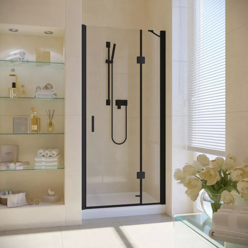 Душевая дверь в нишу Vegas-Glass AFP LUX 120 черный матовый