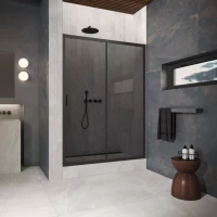 Двери в душевой проем ZP Protec 160 черный матовый