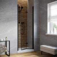 Дверь в душевую нишу Vegas-Glass GPS LUX 85 черный матовый