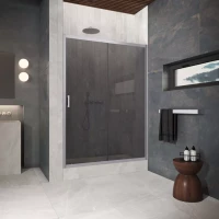 Двери в душевой проем ZP Protec 165 матовый хром