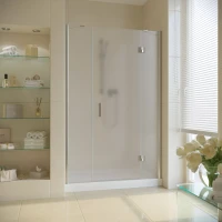 Душевая дверь Vegas-Glass AFP-F LUX 170 глянцевый хром