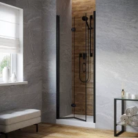 Дверь в душевую нишу Vegas-Glass GPS LUX 90 черный матовый