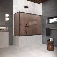 Шторки на ванну ZV+ZVF Protec 160x70 черный матовый