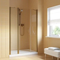 Душевая дверь в нишу Vegas-Glass EP-2F LUX 150 бронза