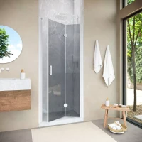 Душевая дверь в нишу Vegas-Glass GPS NOVO 100 h189 белый