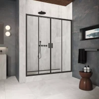 Двери в душевой проем Z2P Protec 220 черный матовый