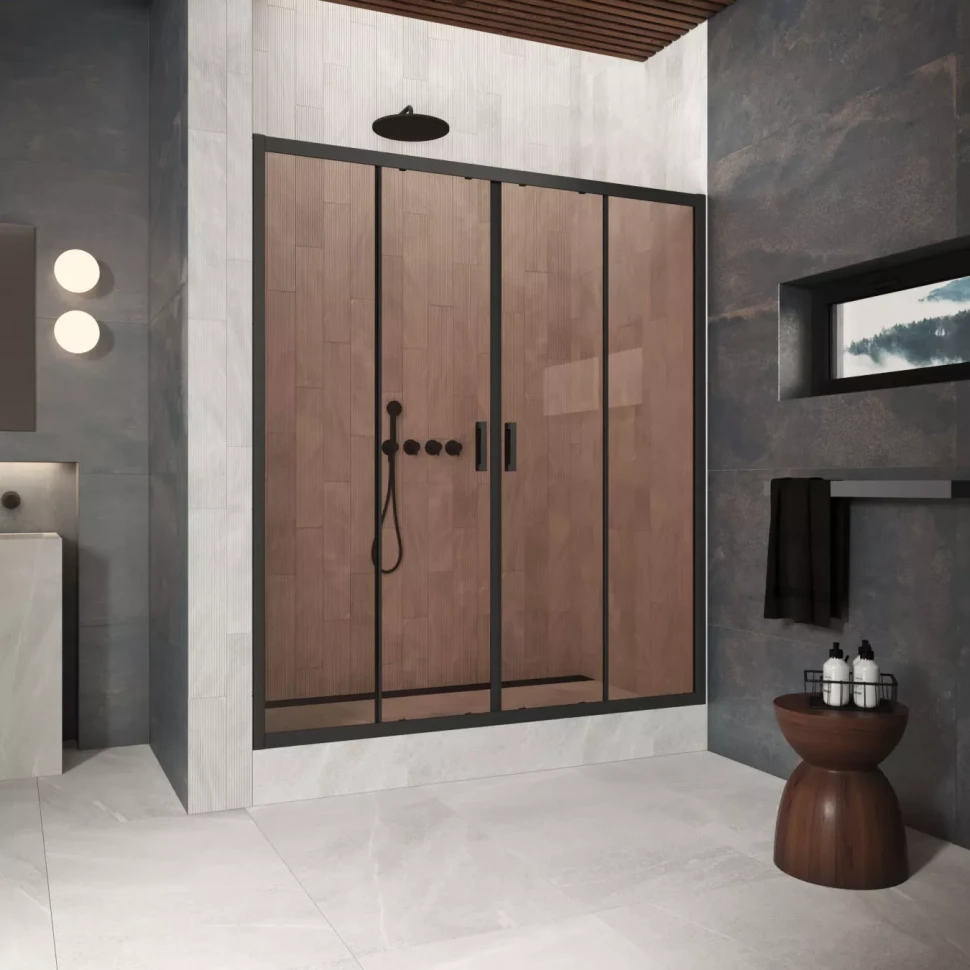 Двери в душевой проем Z2P Protec 220 черный матовый