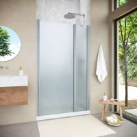 Душевая дверь Vegas-Glass EP-F-2 NOVO 100 h200 матовый хром